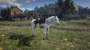 Red Dead Redemption 2 Legendary Animal Map Locations And Rewards Gamepur