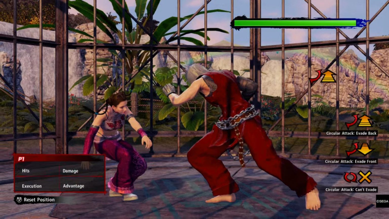 Dodging attacks. Virtua Fighter 5 Final Showdown. Virtua Fighter 5 Ultimate Showdown. Vong и Rizen файтинги сега.