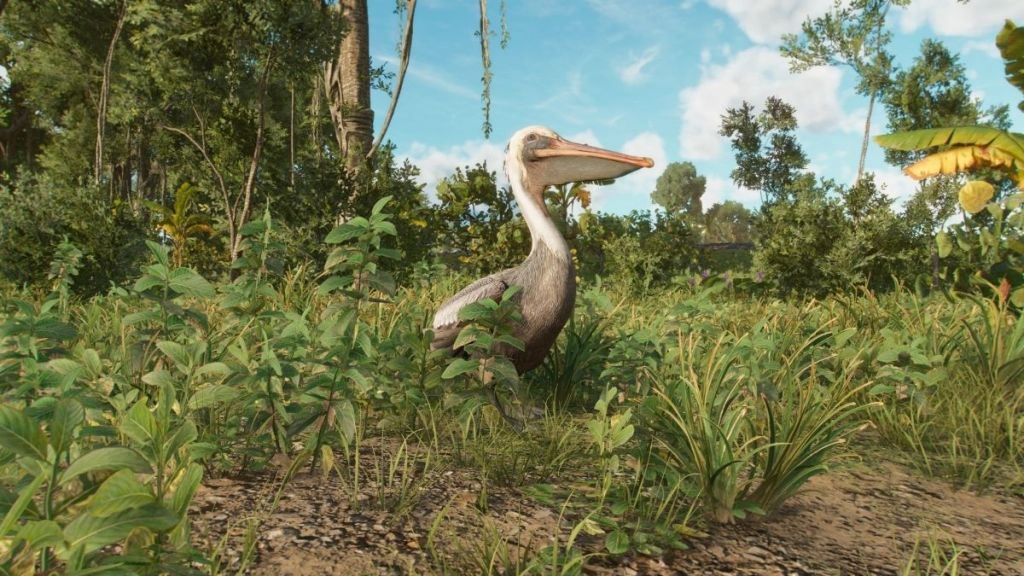 How to feed pelicans in Far Cry 6 - Gamepur