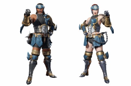 Is Monster Hunter Rise cross platform/crossplay? - Gamepur