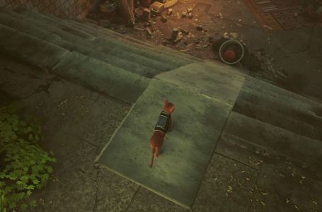 Found Dog! achievement/trophy guide in Life is Strange: True Colors -  Gamepur