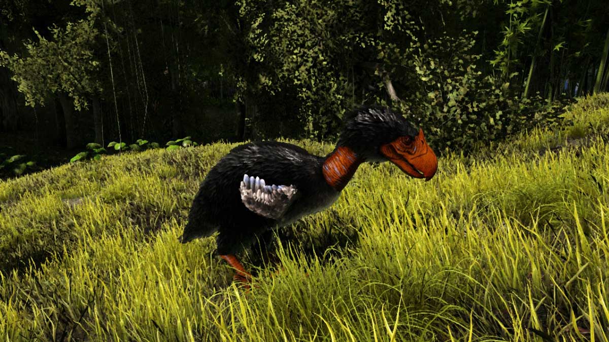 How to tame a Terror Bird in Ark Survival Evolved Gamepur