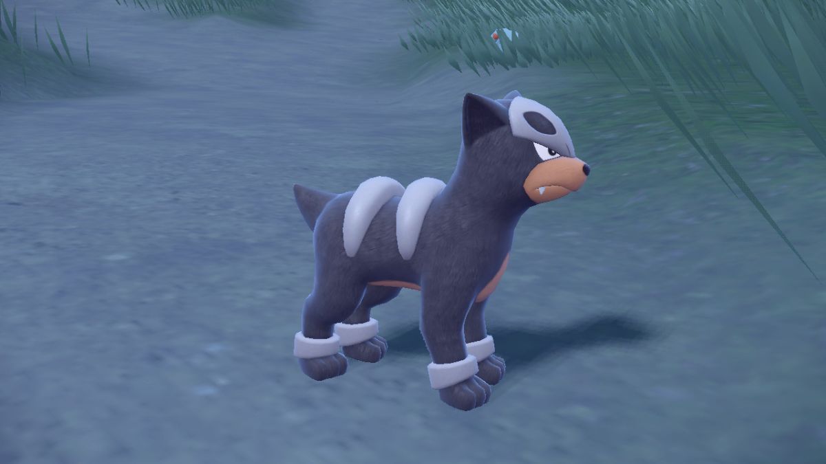 Houndour fang