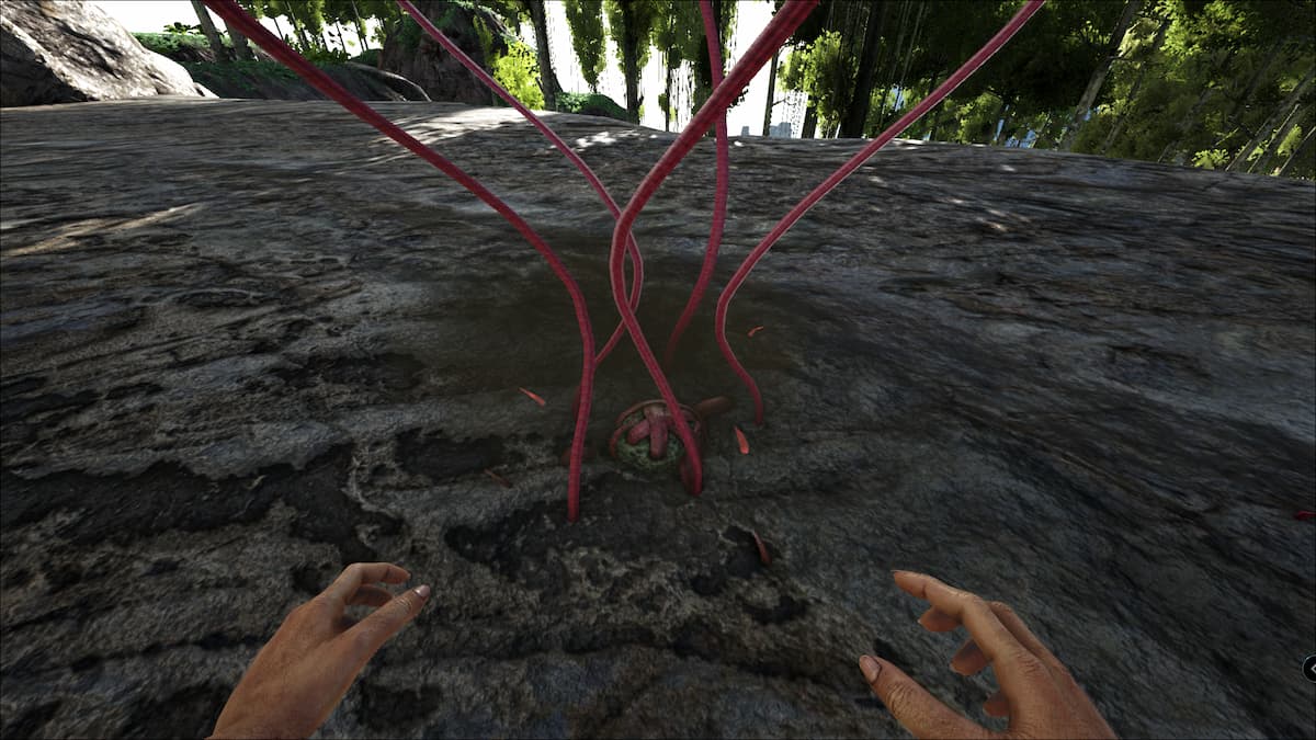 How to get Plant Species Y seeds in Ark Survival Evolved Gamepur