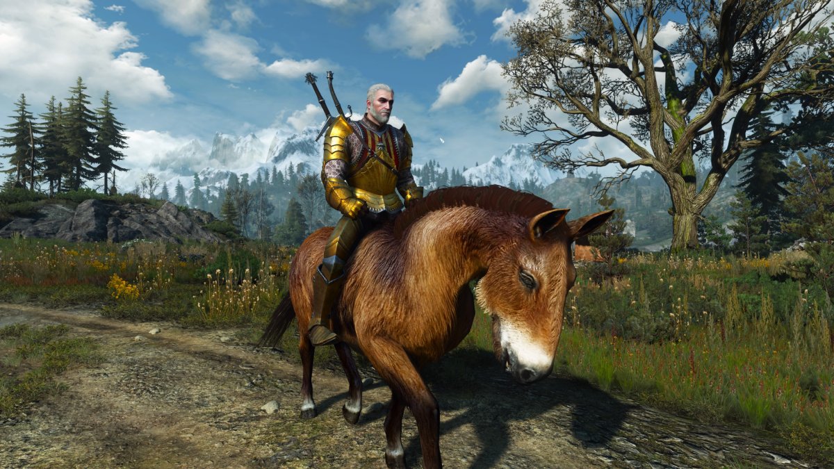 How to get a new horse in The Witcher 3 - Gamepur