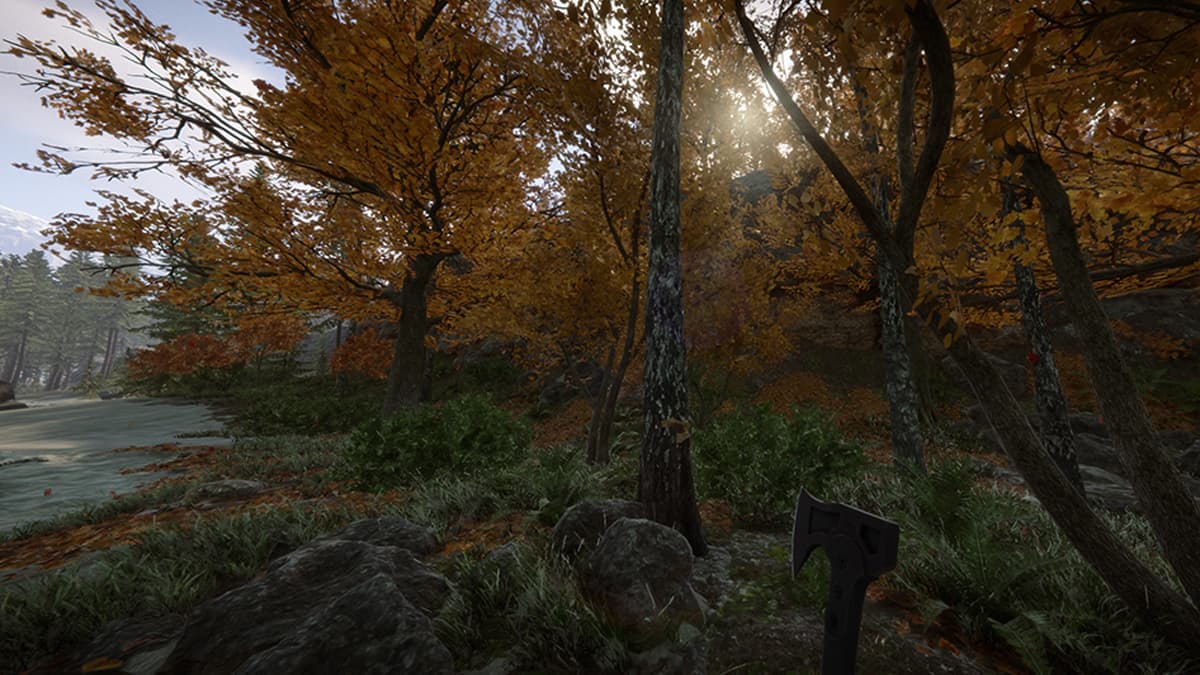 Sons of the Forest Tree Regrowth Cheat: What Console Command Makes Trees  Grow Back? - GameRevolution