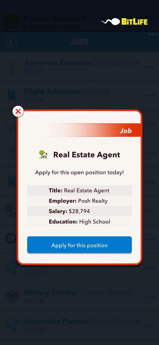 BitLife How to a Real Estate Agent Gamepur