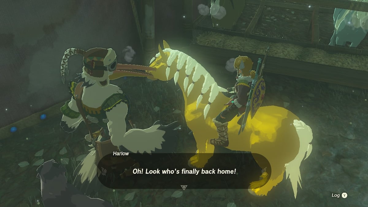 Tears of the Kingdom - How to Get Zelda's Golden Horse in TotK