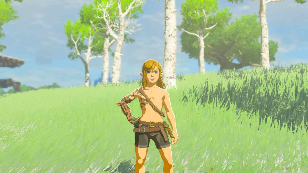 TotK Fan Scandalizes Hyrule NPCs With Naked Link - Gamepur