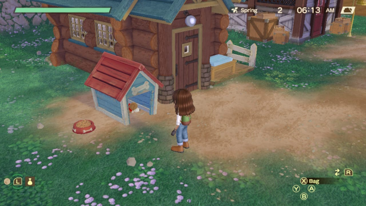 Story of Seasons A Wonderful Life Remake Dog Guide