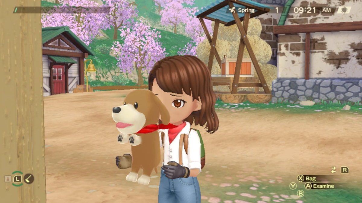 Story of Seasons A Wonderful Life Remake Dog Guide