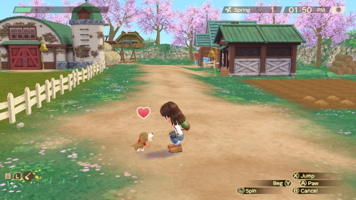 Story of Seasons A Wonderful Life Remake Dog Guide