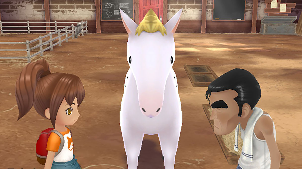 Story of Seasons A Wonderful Life Horse Colors and Horse Care Guide