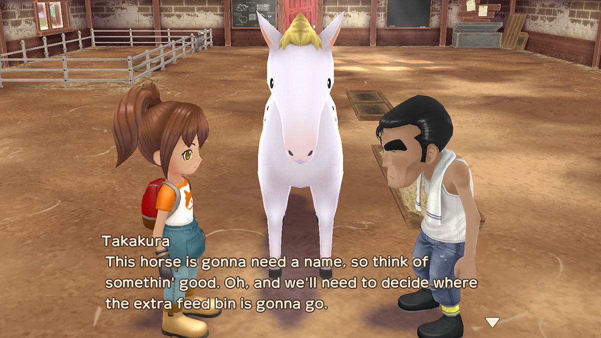 Story of Seasons A Wonderful Life Horse Colors and Horse Care Guide