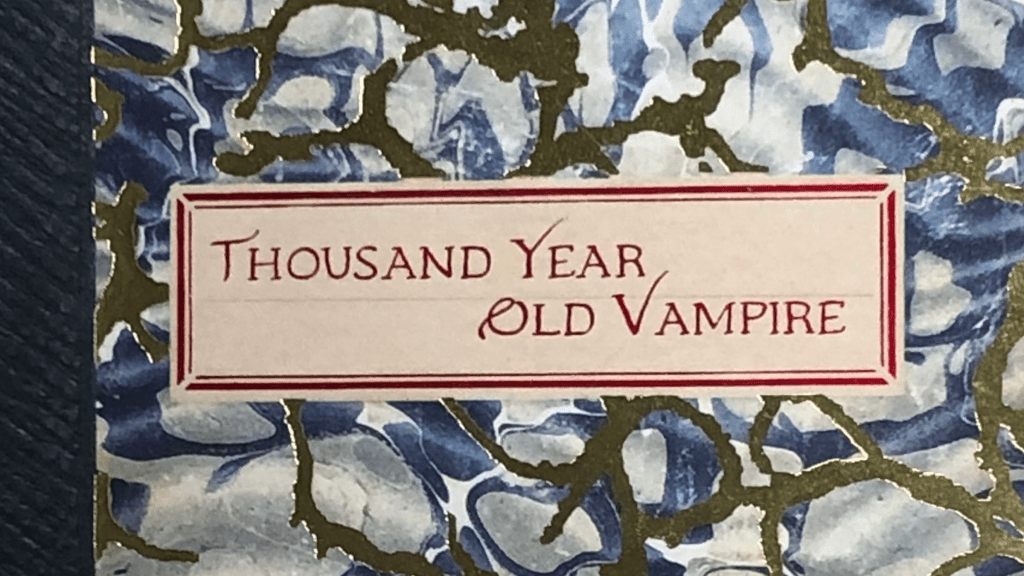 Close up of the marbled cover of Thousand Year Old Vampire.