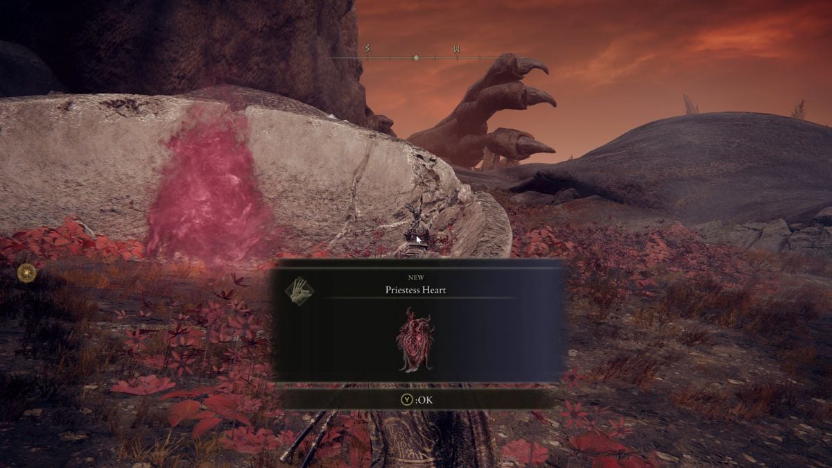 The priestess heart will unlock the other dragon form in Elden Ring Shadow of the Erdtree