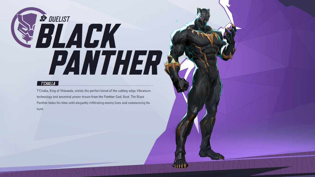 Marvel Rivals Best Character Tier List: Black Panther