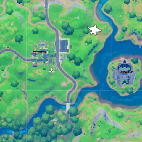 Salty Springs Flaming Ring location