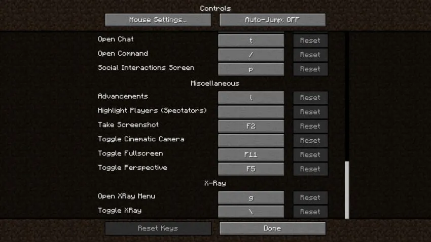 Xray controls forge mod